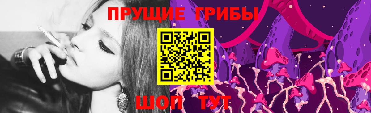 Краснотурьинск  хочу   Вход с VPN  Галлюциногенные грибы мицелий 